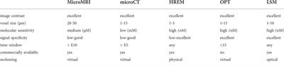 Mouse embryo phenotyping using X-ray microCT